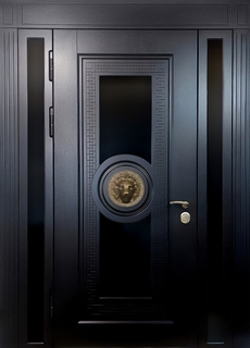 Входная остекленная группа с терморазрывом и декором «лев» (панели МДФ с фрезеровкой) Входная остекленная группа с терморазрывом и декором «лев» (панели МДФ с фрезеровкой)